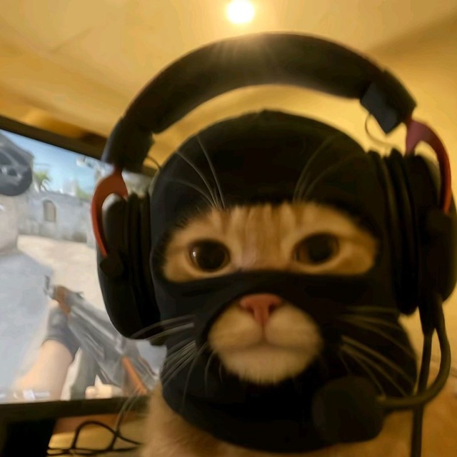 Counter Strike 2 - CS2